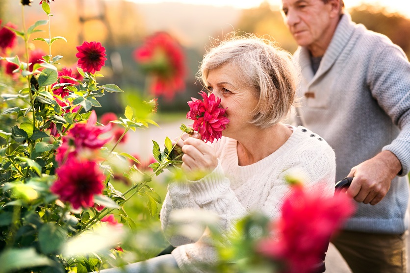 benefits of gardening for elderly