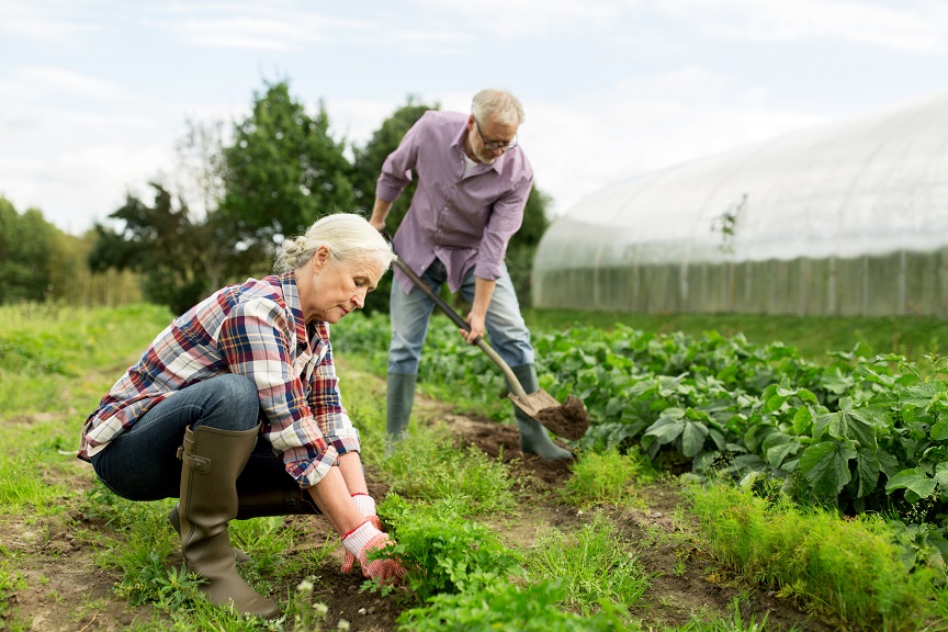 benefits of gardening for elderly