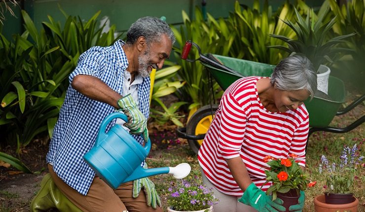 Retired couple happily gardening