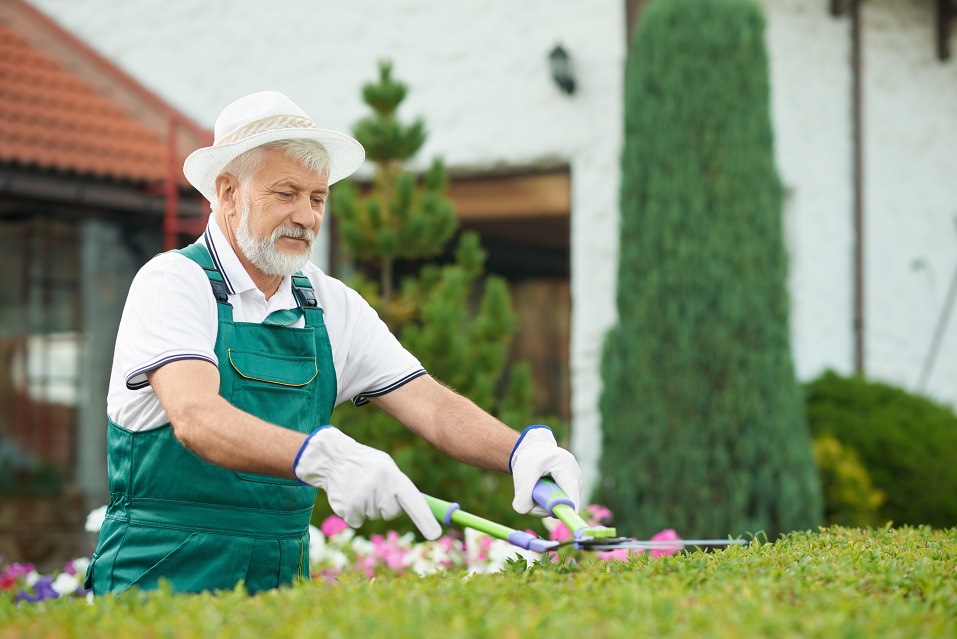 benefits of gardening for elderly