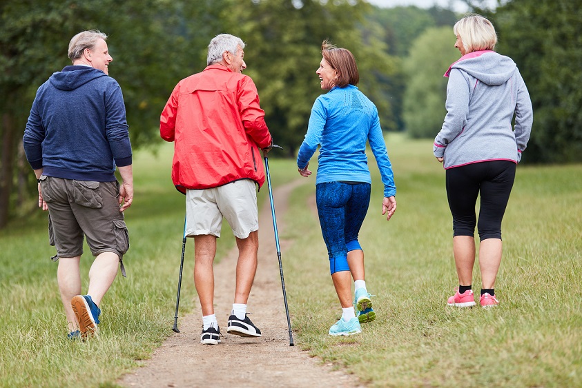 Group of active seniors as friends do Nordic walking in nature. they wear walking shoes and clothes.