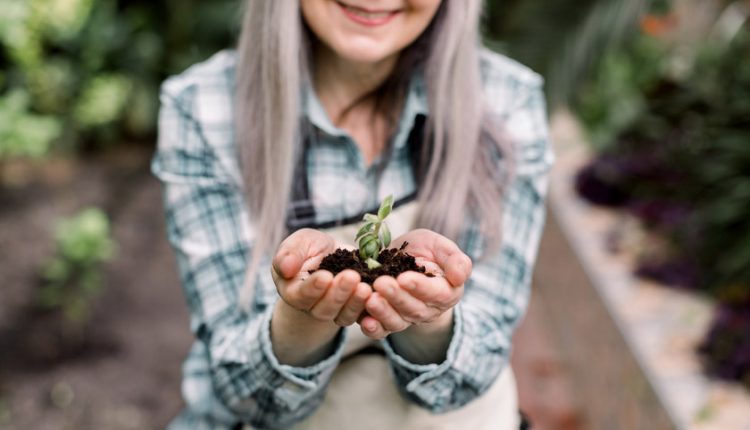 benefits of gardening for elderly