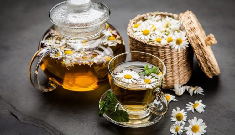 chamomile tea for seniors