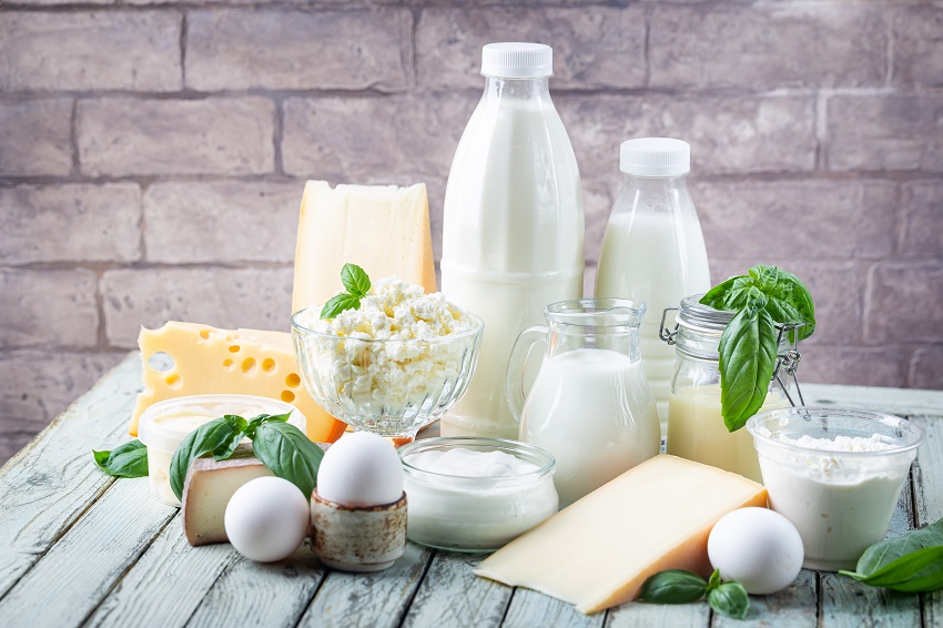 dairy products such as milk, cheese, butter, and egg on a table