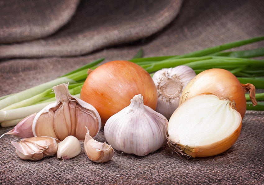 a few garlics and onions beside each other