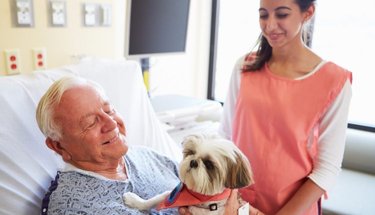 a pet besides a senior on hospital bed