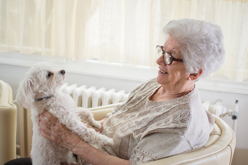 a senior woman holding a dog on her lap