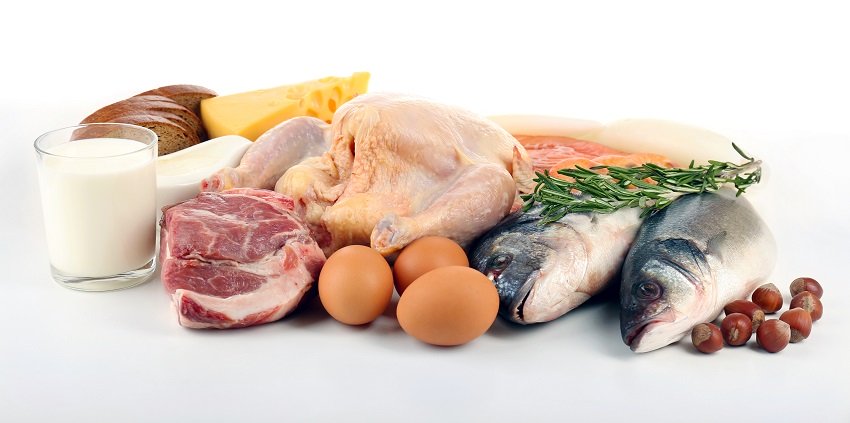 Foods high in protein and fat