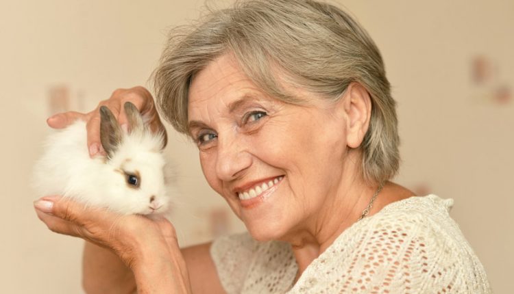 impacts of adopting pets for seniors