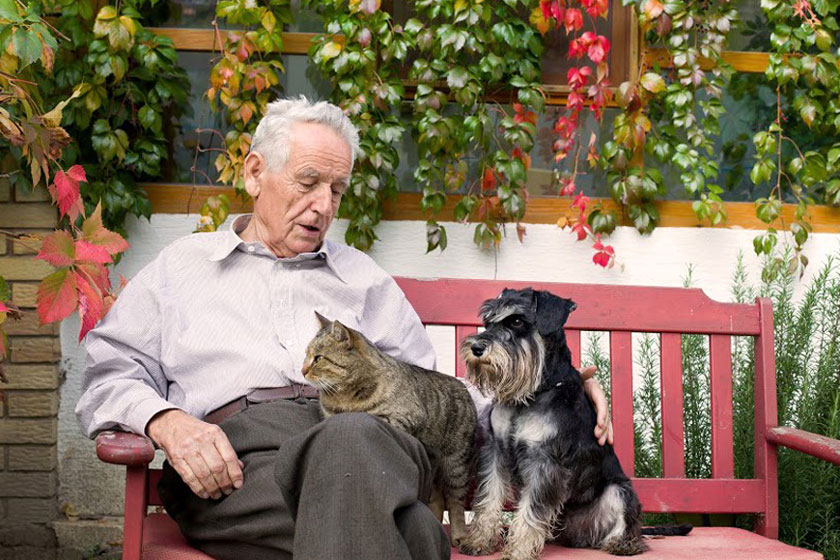 impacts of adopting pets for seniors