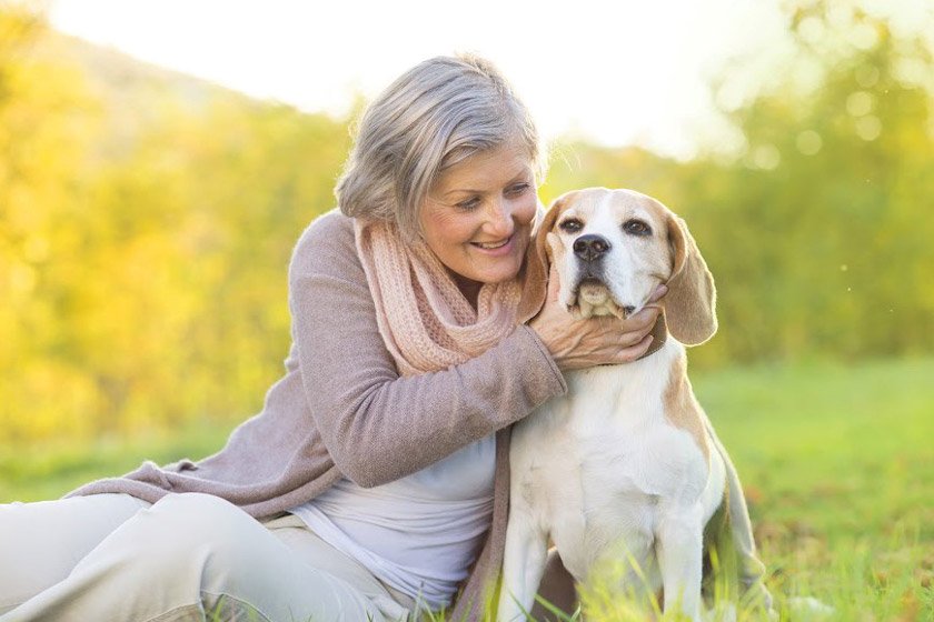 impacts of adopting pets for seniors