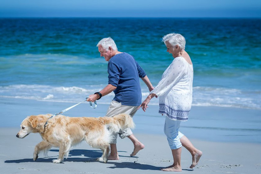 impacts of adopting pets for seniors