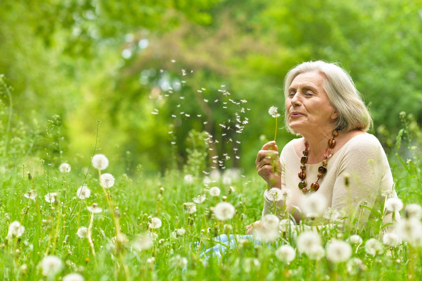 effect of nature on the life quality of older adults