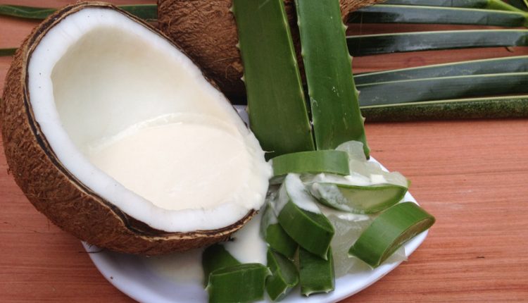 Aloe Vera sliced cube with cream with coconut leaves