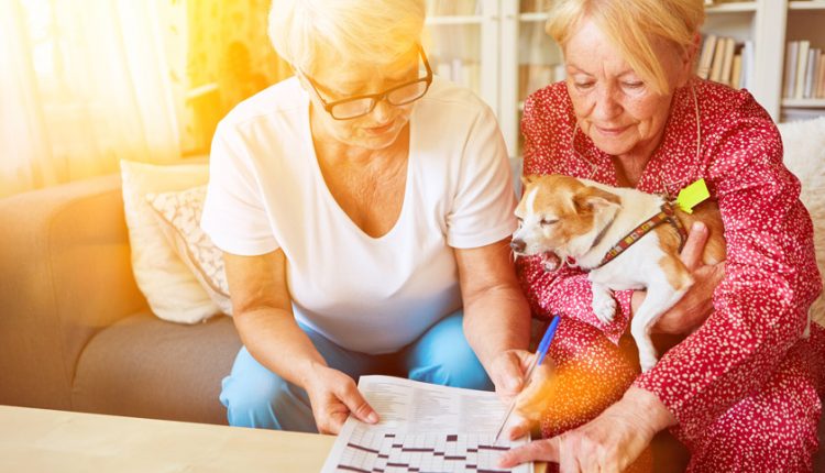 two senior women solving a crossword puzzle