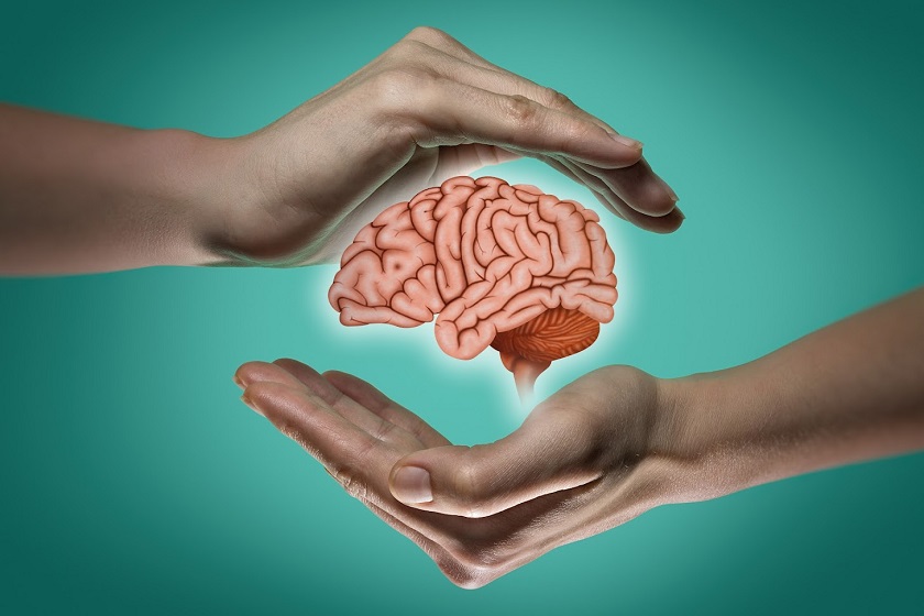 A human brain between two palms of a woman on blue and green background. 