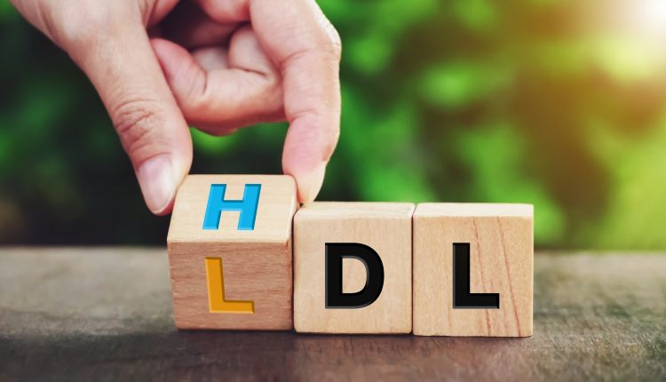 HDL vs LDL