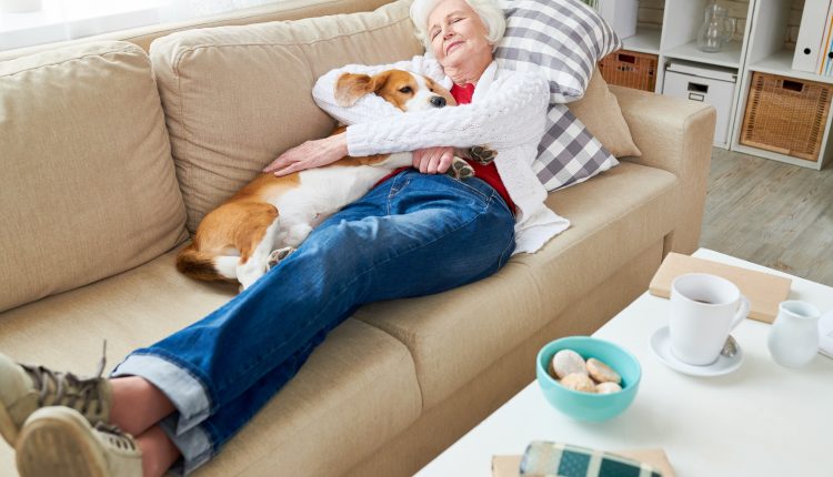 Senior woman taking a nap on the couch