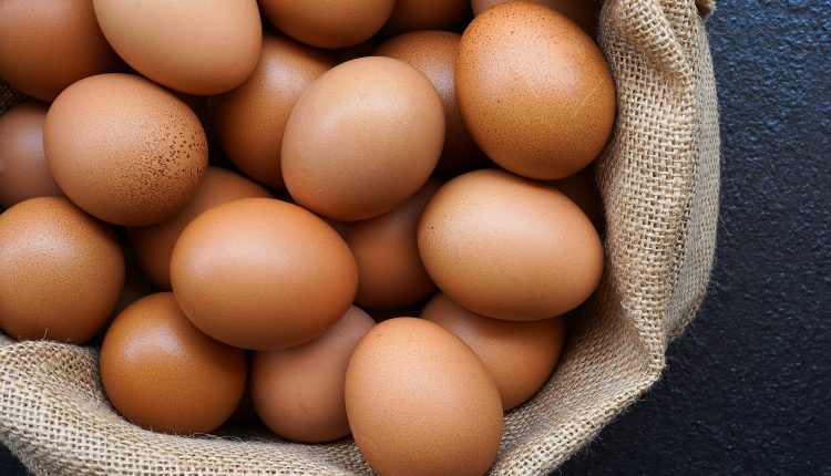 are eggs good for dementia