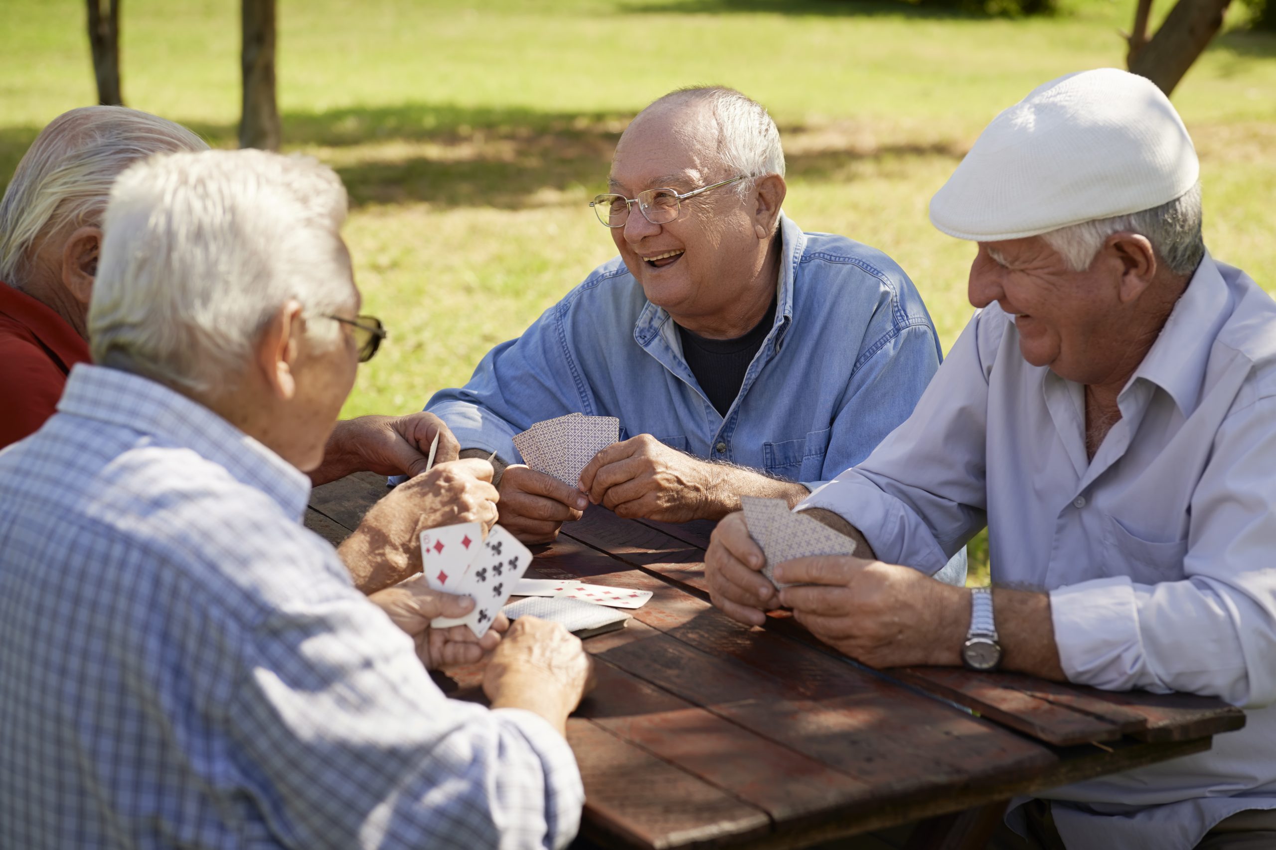 Senior men playing card in a park